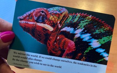 The Food Innovator as Chameleon: One Mission, Many Forms