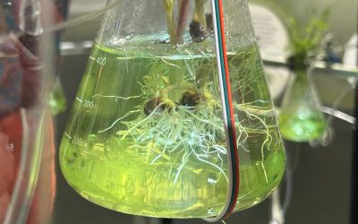 Dutch Design Week 2025 – Where to go – Mary’s favourites