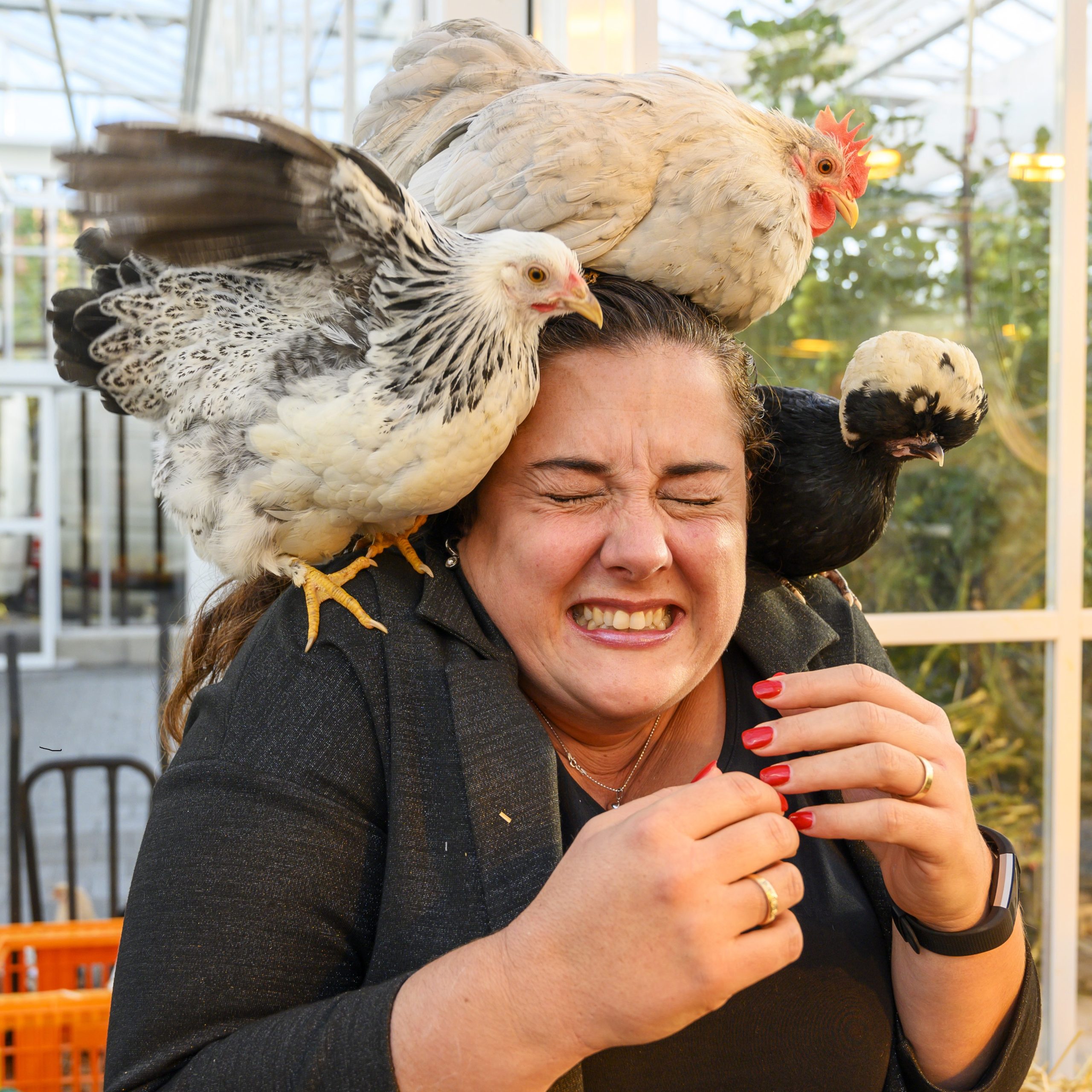 Mary van Hoek-Hendriks 