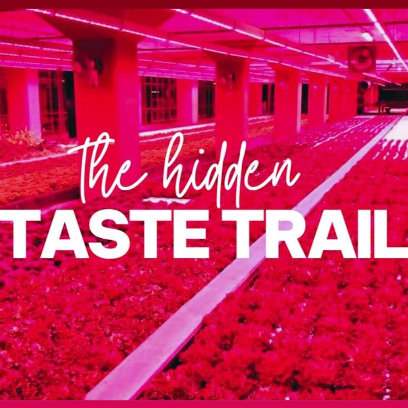 Innovation Agrifood Capital