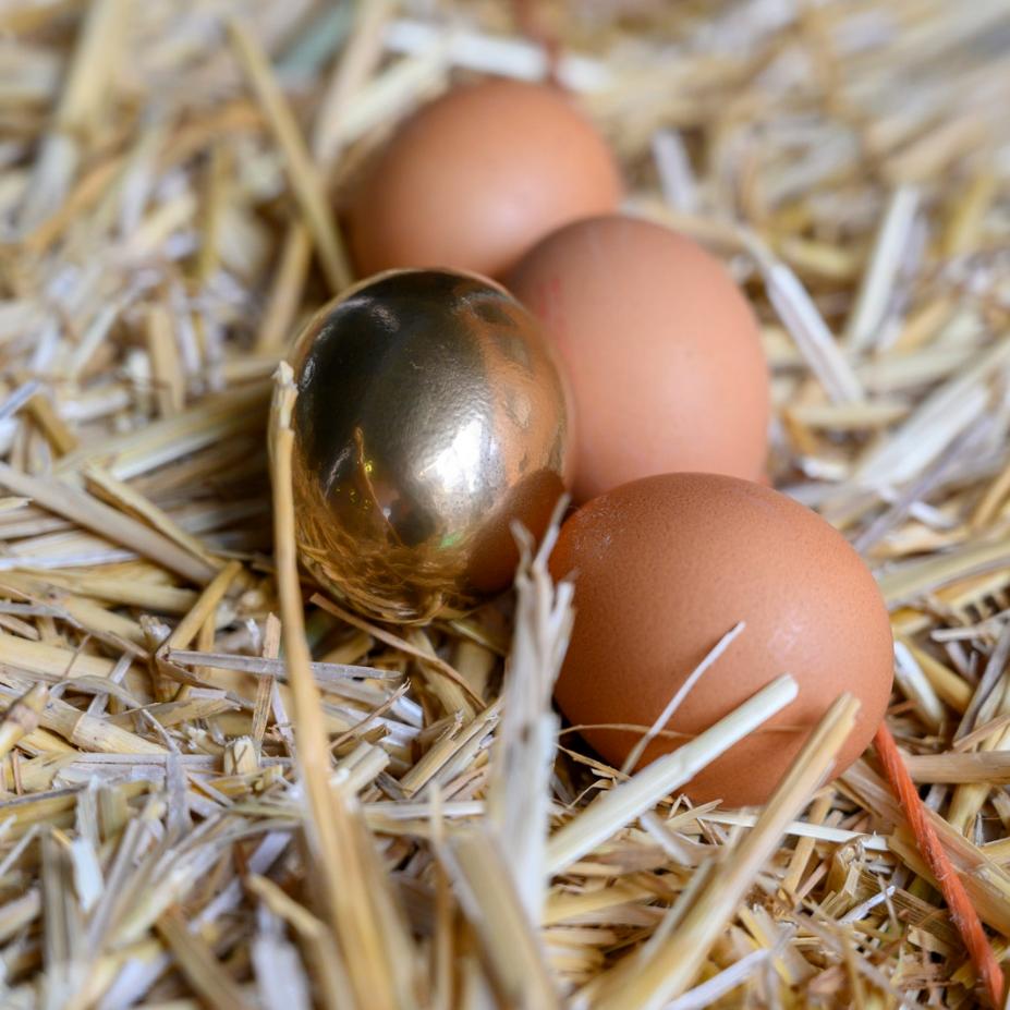 Start a Food Story - Karin Jonkers