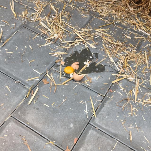 Insight & Inspiration - Karin Jonkers